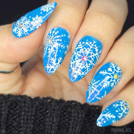 In the Frosty Air (CjSC-24) Etched Nail Art Stamping Plate