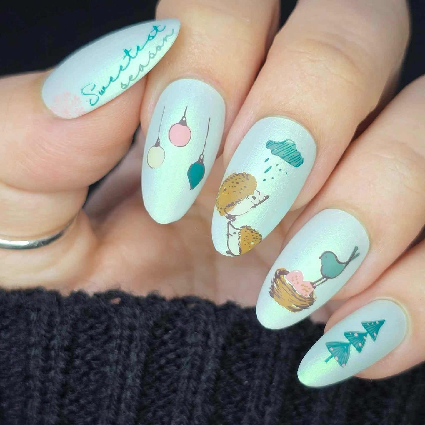 Sweetest Season (CjSC-32) Etched Nail Art Stamping Plate