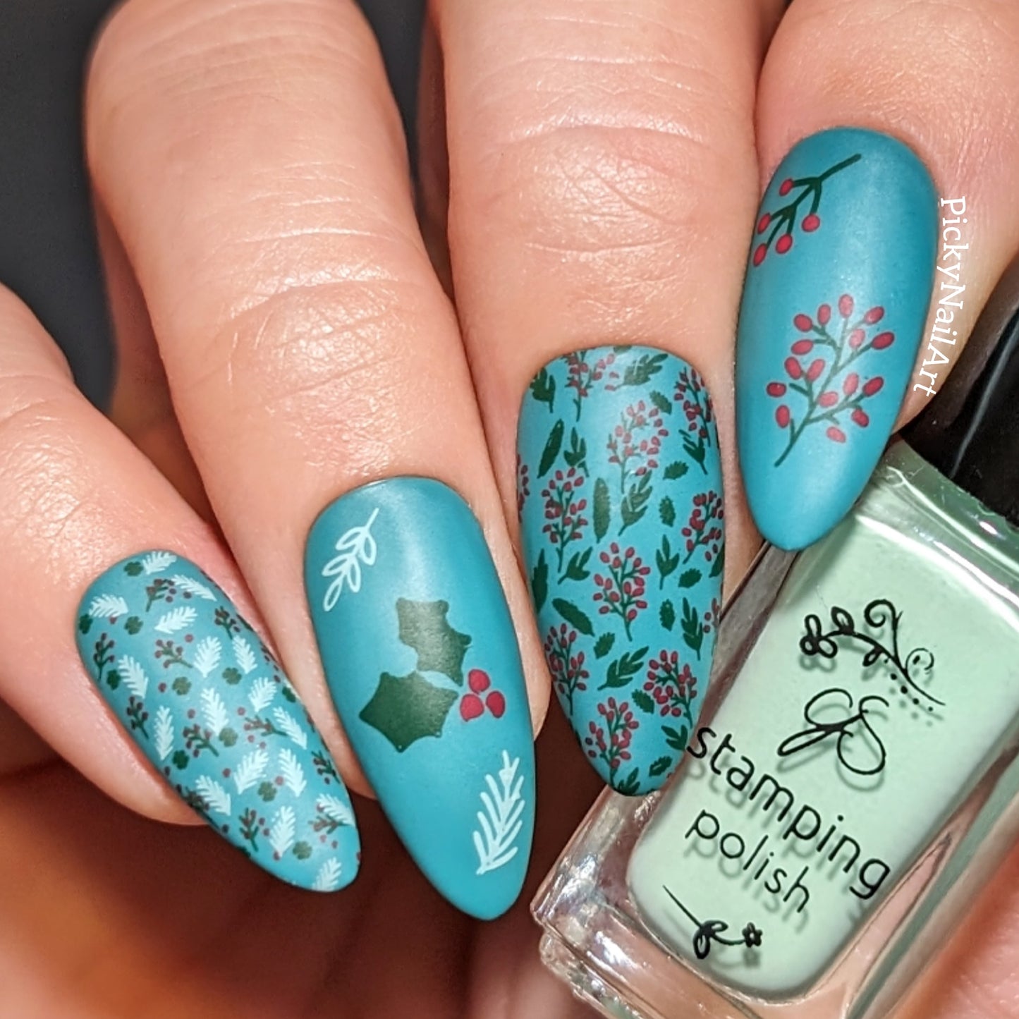 Pretty Paper - Festive (CjSC-78) Etched Nail Art Stamping Plate