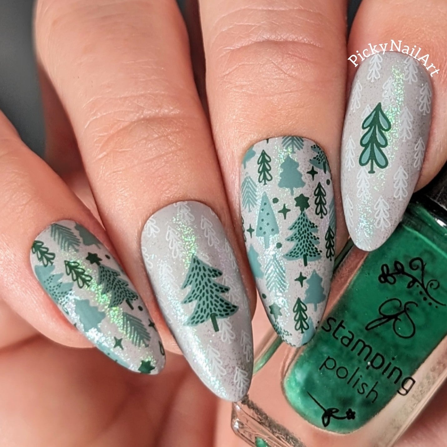 Pretty Paper - Festive (CjSC-78) Etched Nail Art Stamping Plate