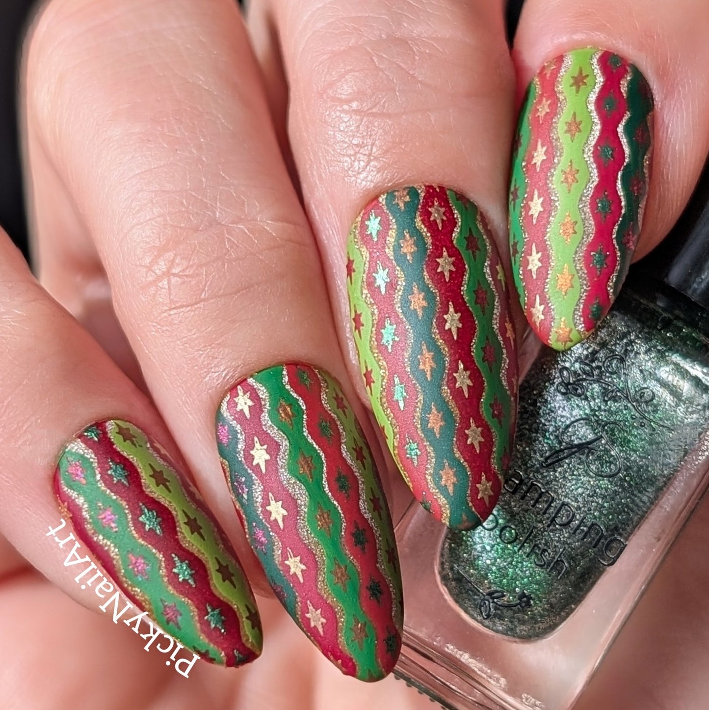 Vintage Chic Christmas (CjSC-96) Etched Nail Art Stamping Plate