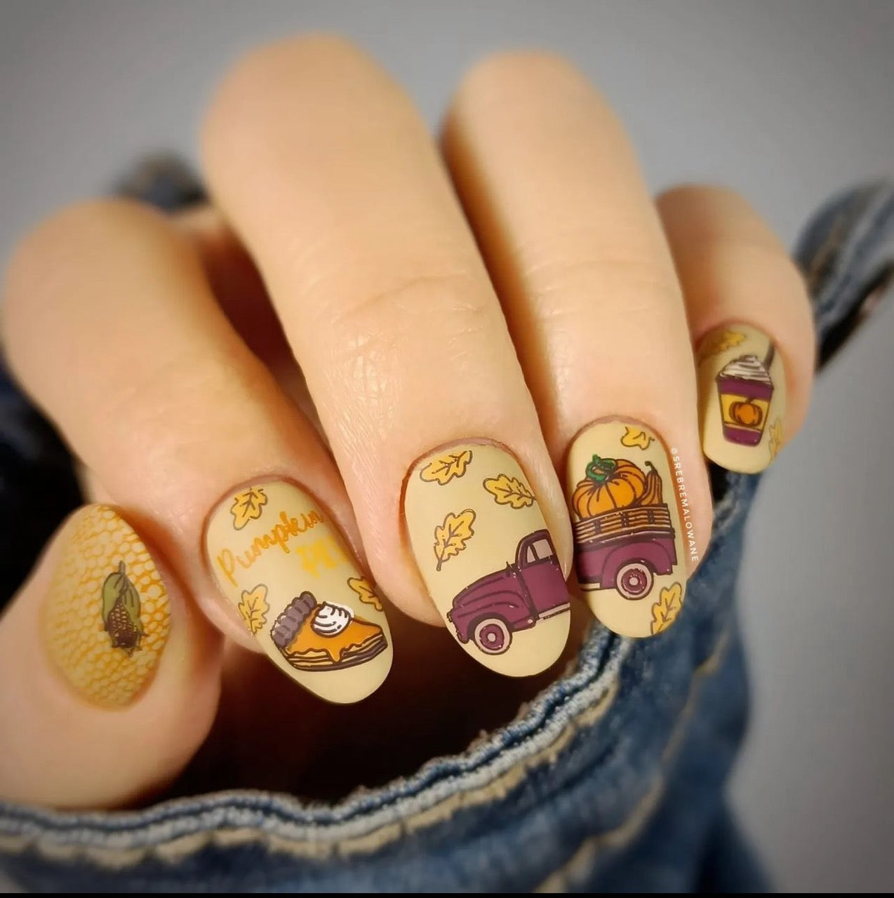 Autumn Skies, Pumpkin Pies (CjSH-101) Etched Nail Art Stamping Plate