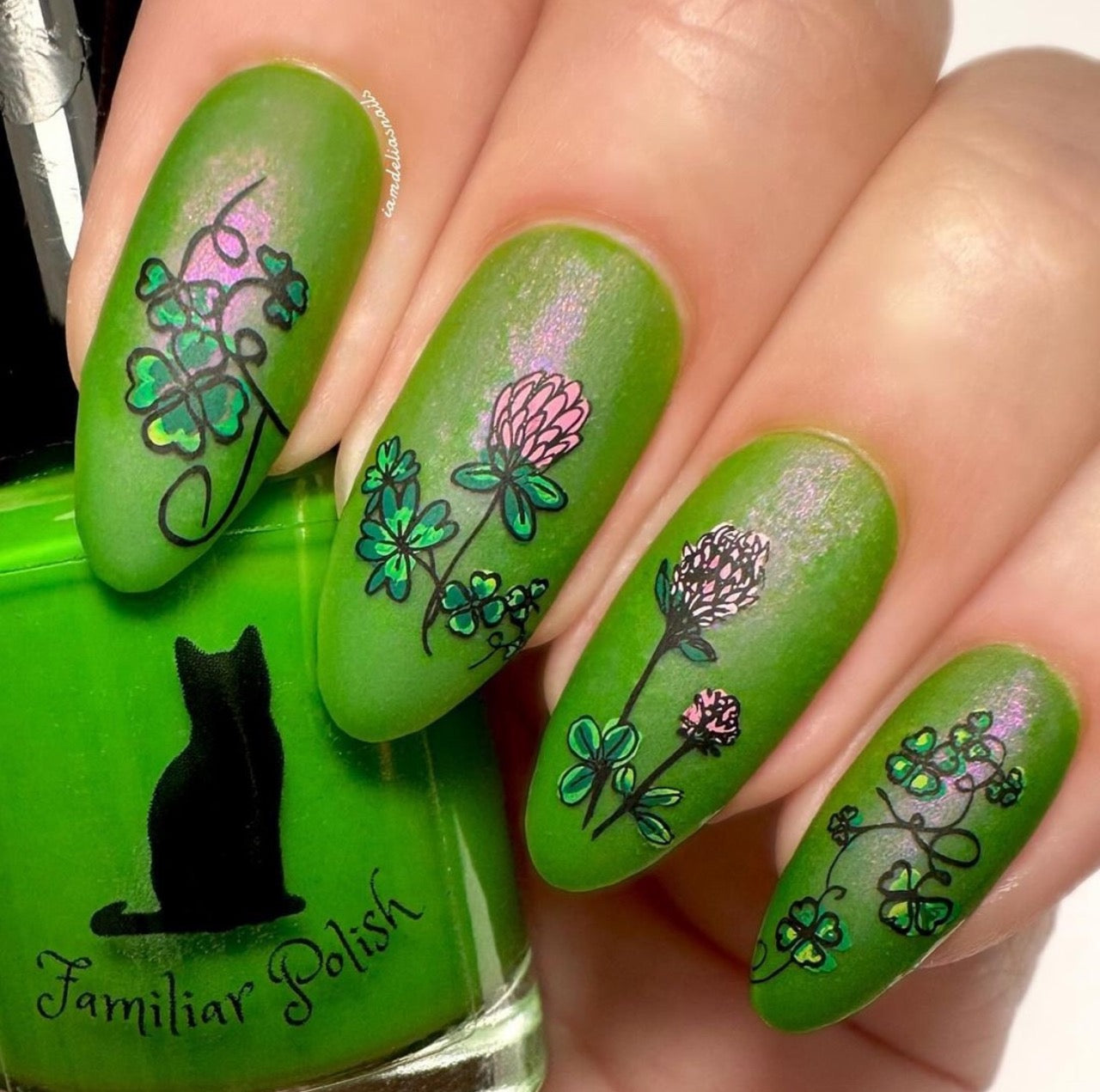 Pretty Clover (CjSH-105) Etched Nail Art Stamping Plate