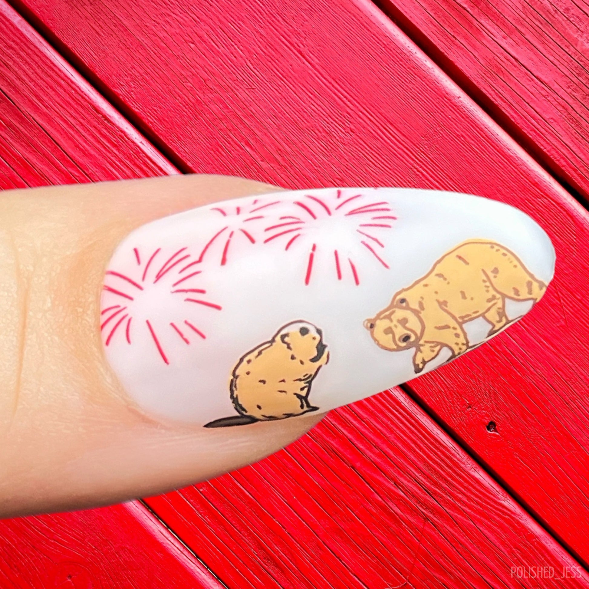 single-manicure-nail-showing-stamping-nail-art-designs-of-fireworks-a-beaver-and-a-bear