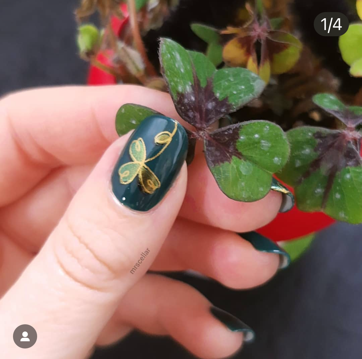 Four Leaf Clover (CjSH-18) Etched Nail Art Stamping Plate