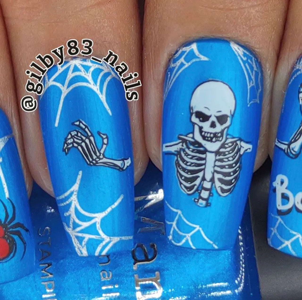 Hallo-Ween (CjSH-55) Etched Nail Art Stamping Plate