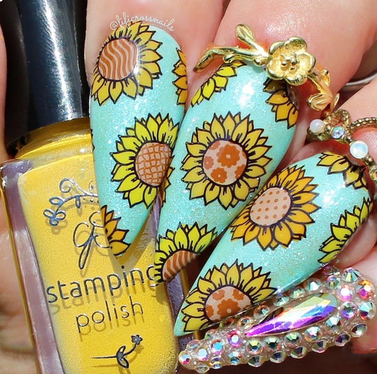 Patterned Halloween (CjSH-95) Etched Nail Art Stamping Plate