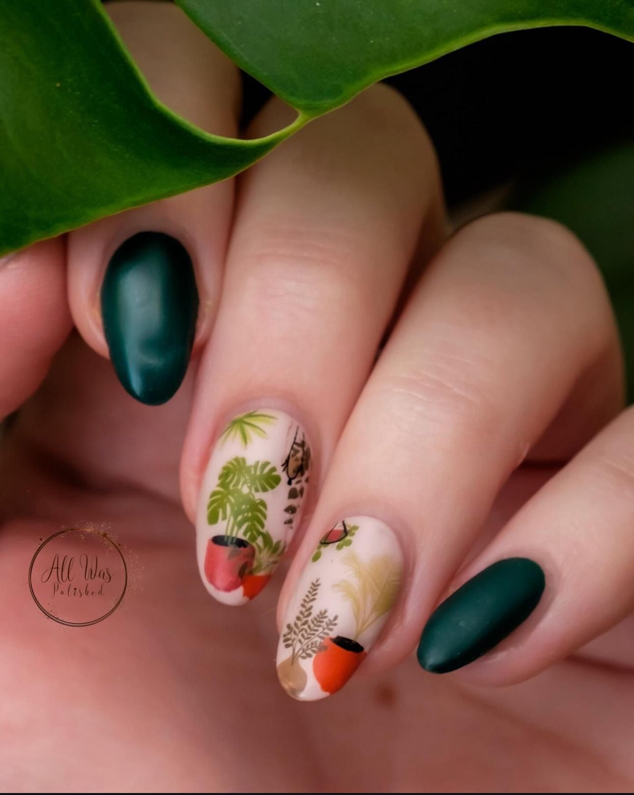 Crazy Plant Lady (CjSLC-07) Etched Nail Art Stamping Plate