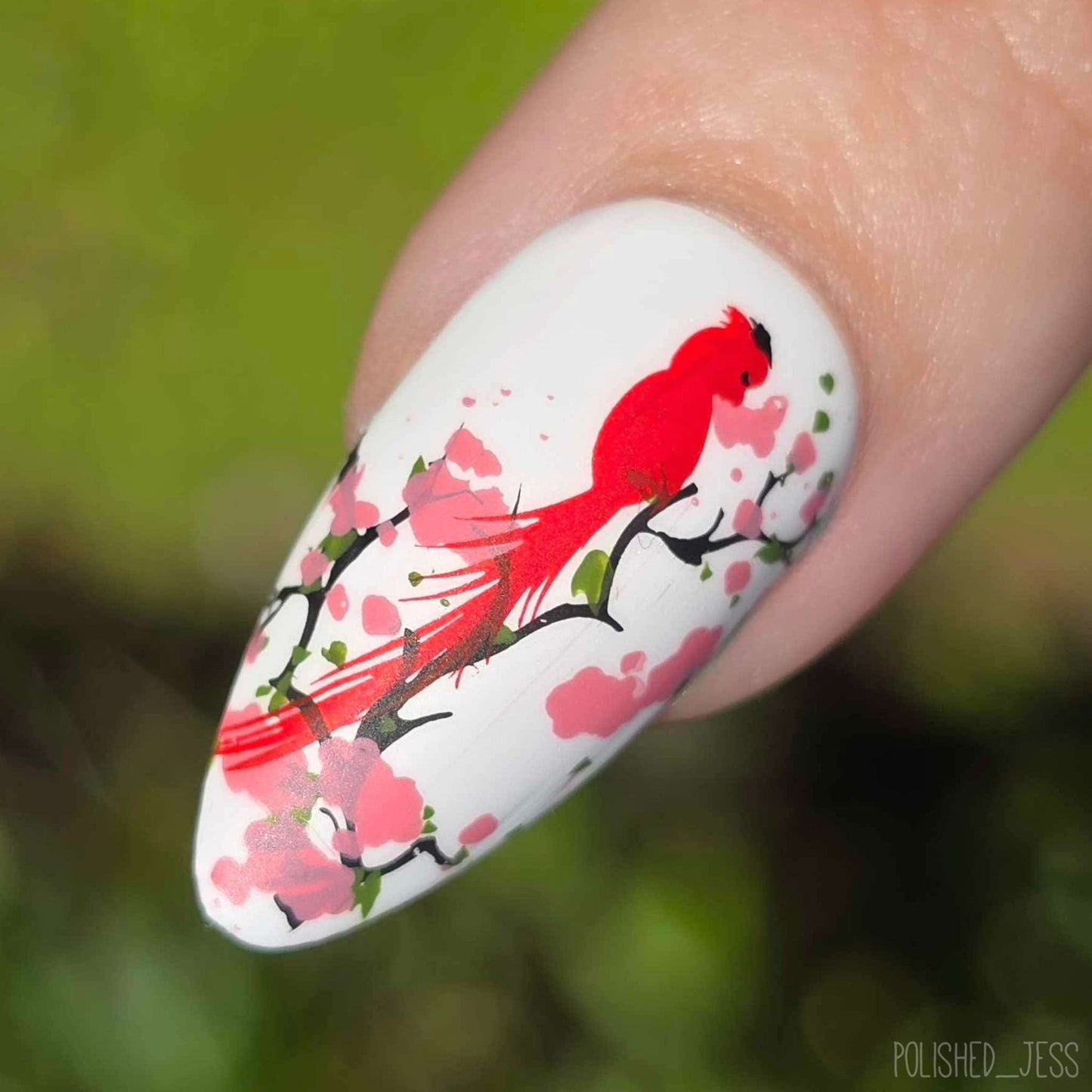 Sakura (CjSLC-69) Etched Nail Art Stamping Plate