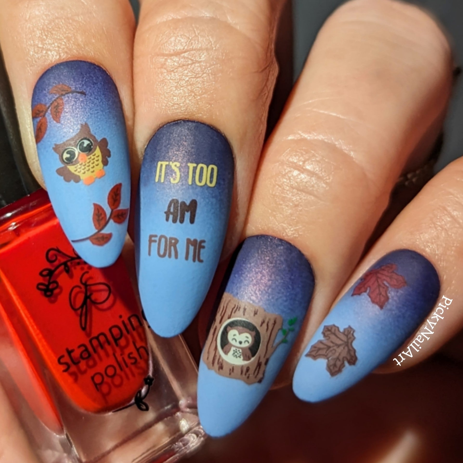 Owl is Good (CjSLC-96) Steel Nail Art Layered Stamping Plate