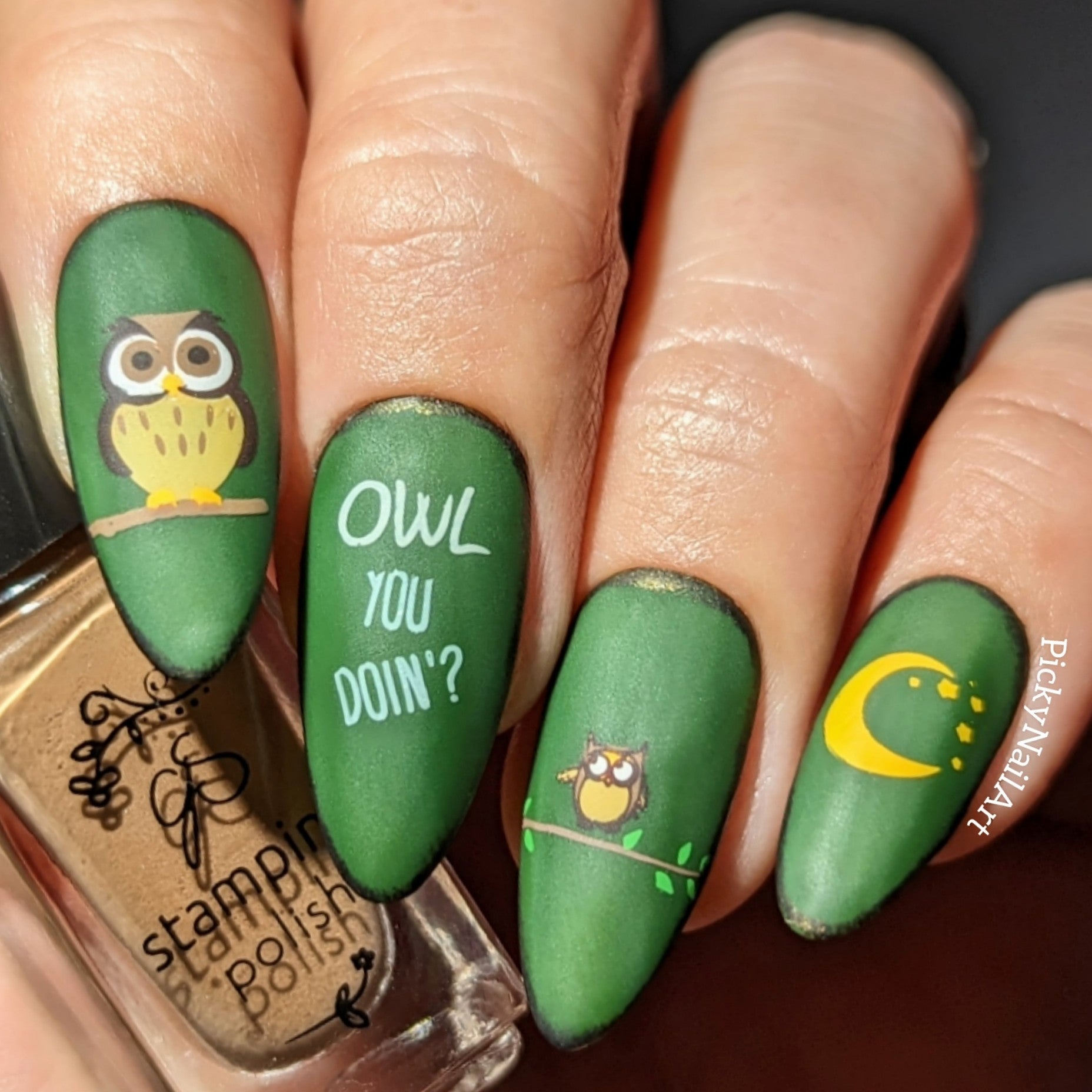 Owl is Good (CjSLC-96) Steel Nail Art Layered Stamping Plate