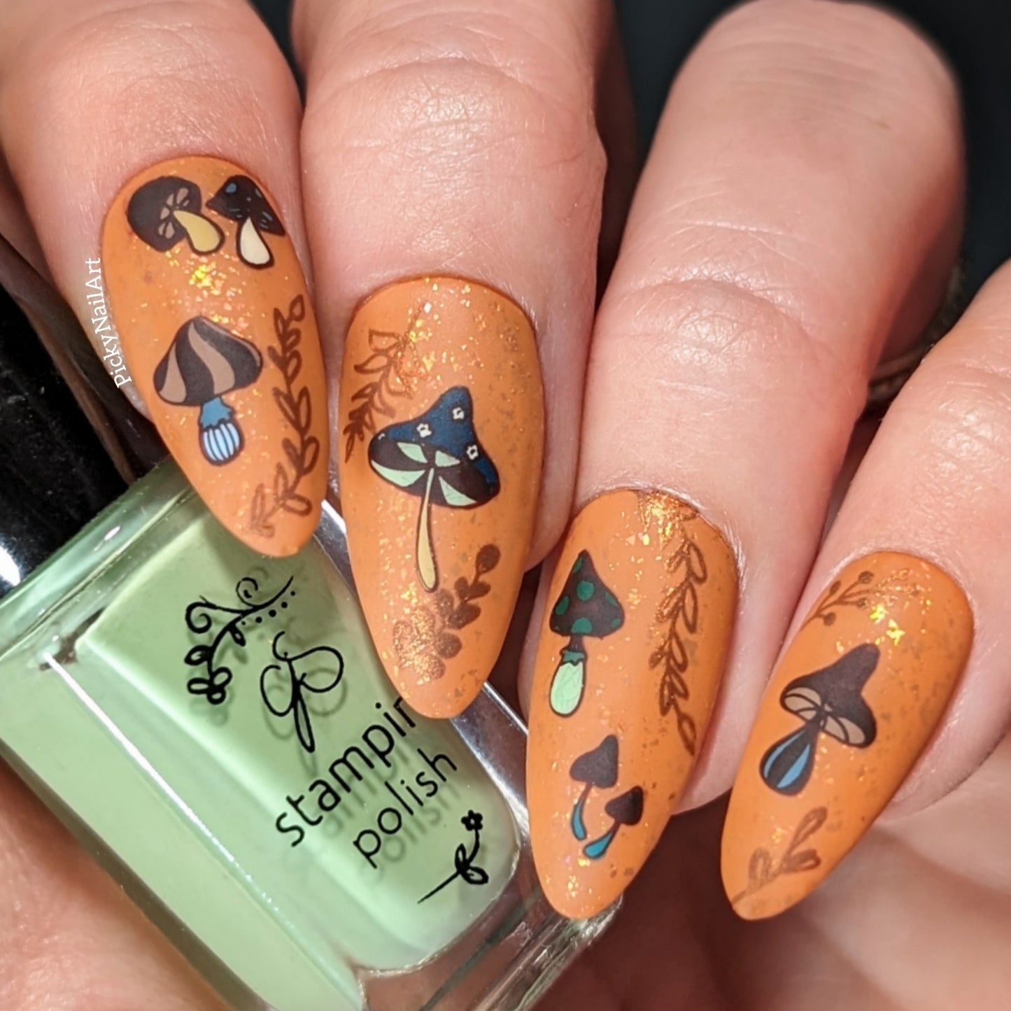 Celina Ryden - Boho Vibes (CjSLC-97) Etched Nail Art Stamping Plate