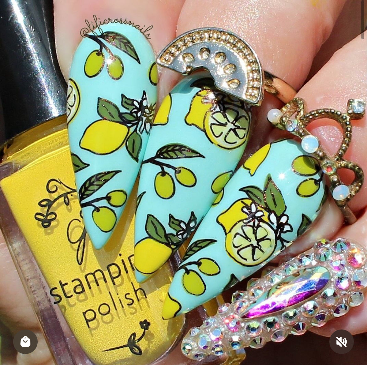 Ciao Bella (CjSLE-10) Etched Nail Art Stamping Plate