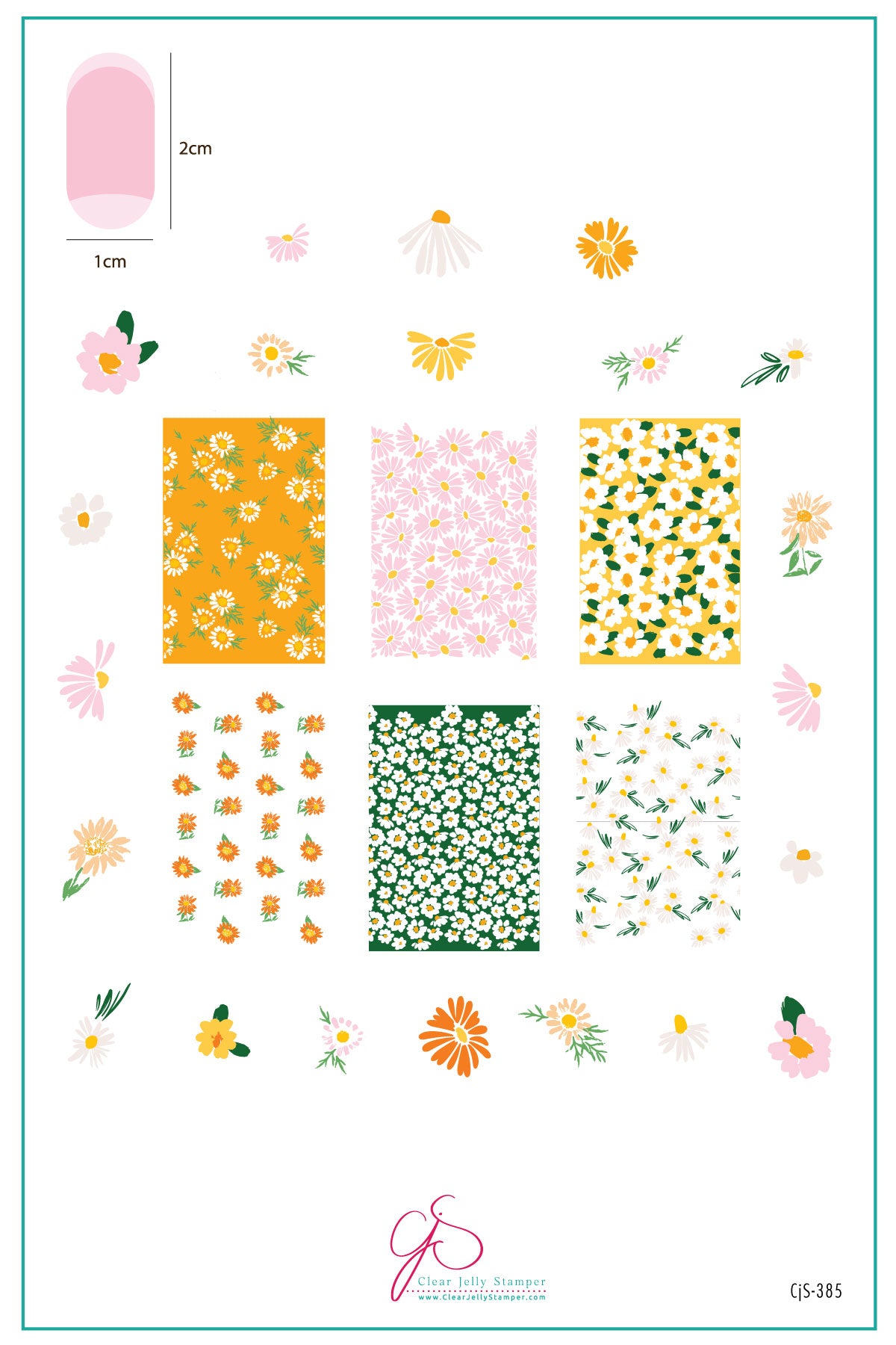 Crazy for Daisies (CjS-385) Etched Nail Art Stamping Plate