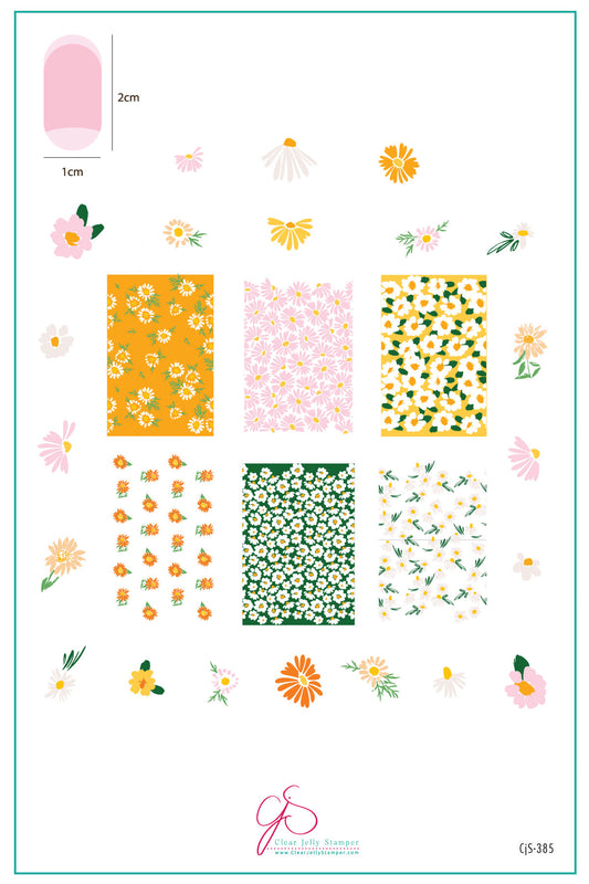 Crazy for Daisies (CjS-385) Etched Nail Art Stamping Plate