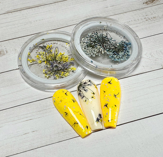 KoKo & Claire Dried Flowers