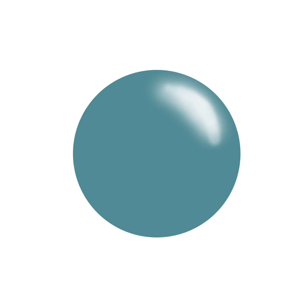 #184 Sea Turtle - Nail Art Stamping Color (5 Free Formula)