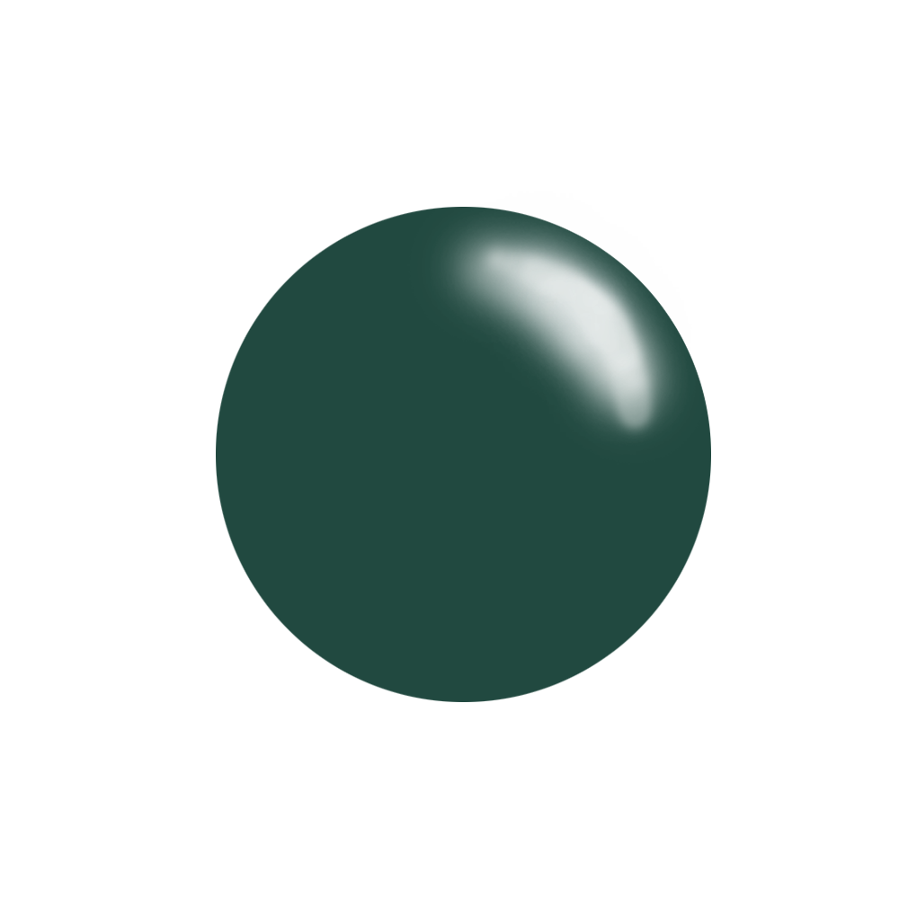 #205 Sage Away - Nail Art Stamping Color (5 Free Formula)