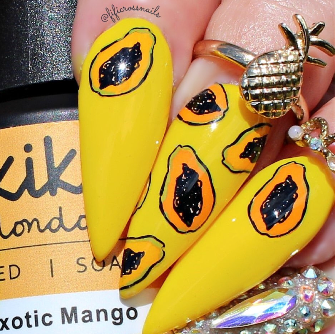 Fruit Cocktail Collection - Tropical Sensation (CjS-211) Etched Nail Art Stamping Plate