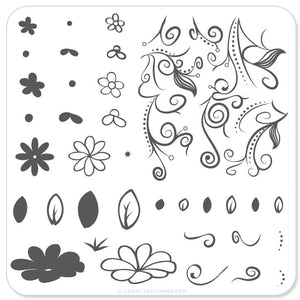 Floral Swirl 2 (CjS-14) - Steel Nail Art Stamping Plate 6x6 Clear Jelly Stamper 