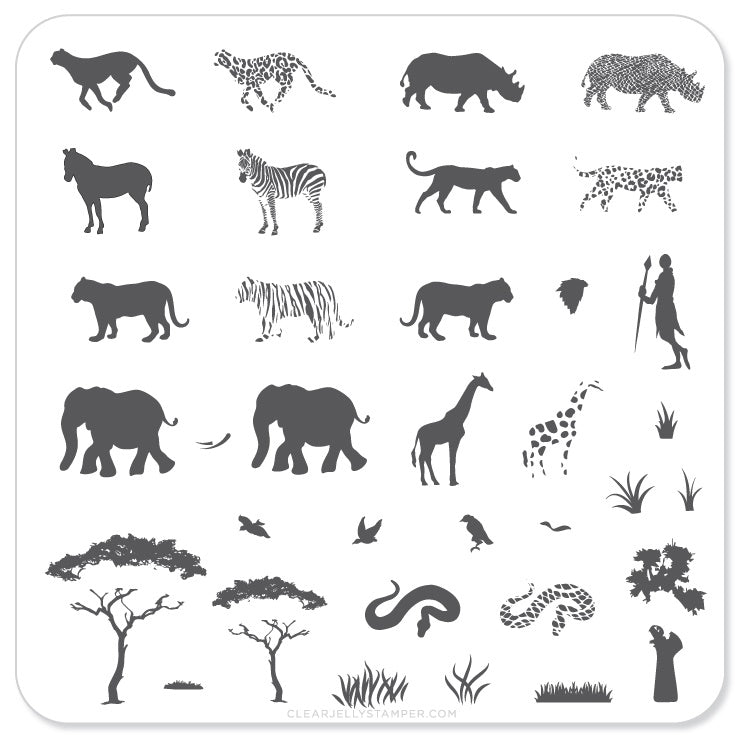 Out of Africa (CjS-15) - Steel Nail Art Stamping Plate 6x6 Clear Jelly Stamper