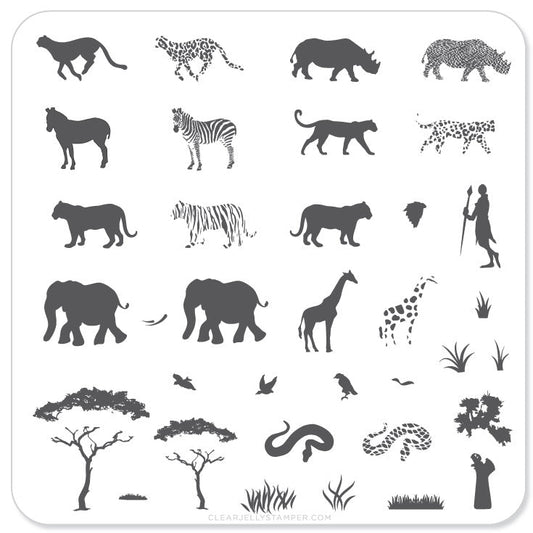 Out of Africa (CjS-15) - Steel Nail Art Stamping Plate 6x6 Clear Jelly Stamper