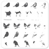 Itty Bitty Birds (CjS-30) - Steel Nail Art Stamping Plate 6x6 Clear Jelly Stamper 