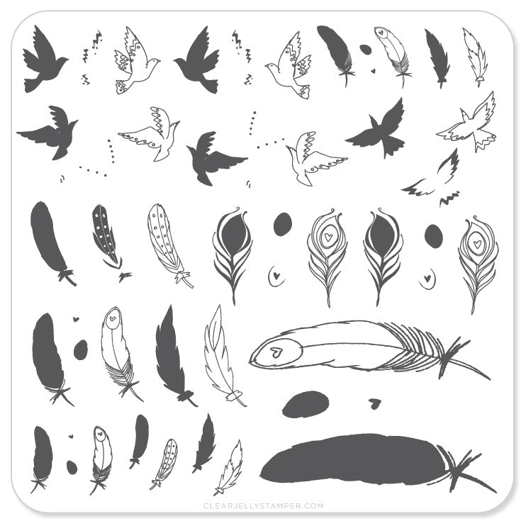 Birds of a Feather (CjS-31) - Steel Nail Art Stamping Plate 6x6 Clear Jelly Stamper