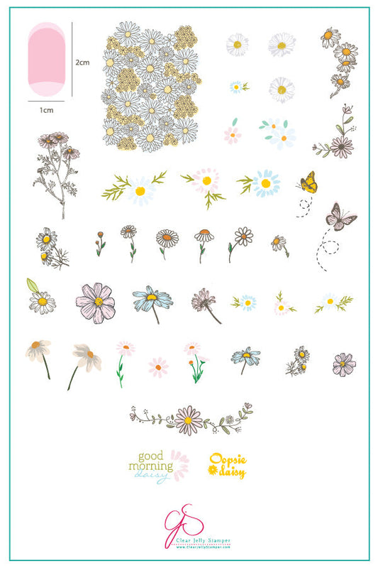 I Dream of Daisies (CjS-104) Steel Nail Art Stamping Plate 14 x 9 Clear Jelly Stamper