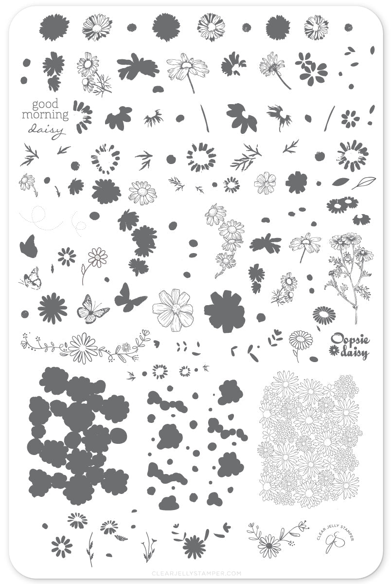 I Dream of Daisies (CjS-104) Steel Nail Art Stamping Plate 14 x 9 Clear Jelly Stamper