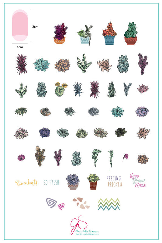 Oh So Succulent! (CjS-123) Steel Nail Art Stamping Plate 14 x 9 Clear Jelly Stamper