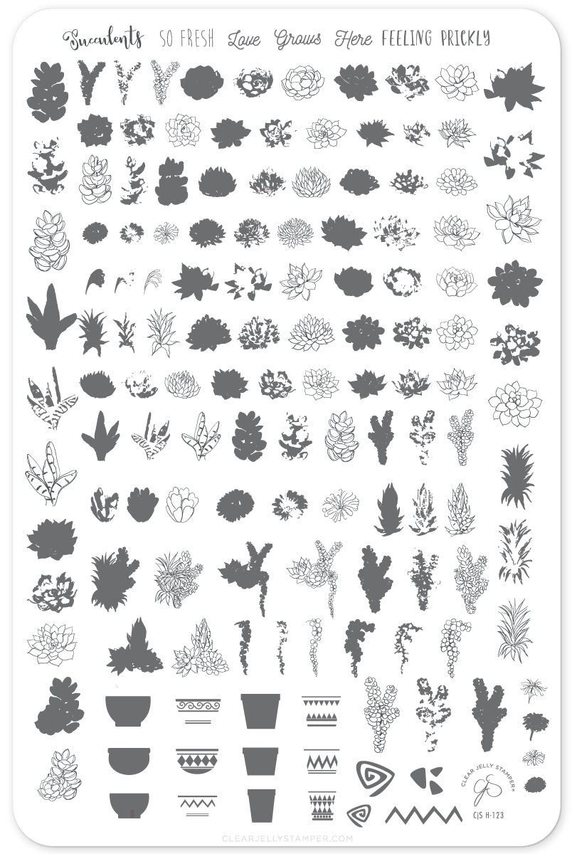 Oh So Succulent! (CjS-123) Steel Nail Art Stamping Plate 14 x 9 Clear Jelly Stamper