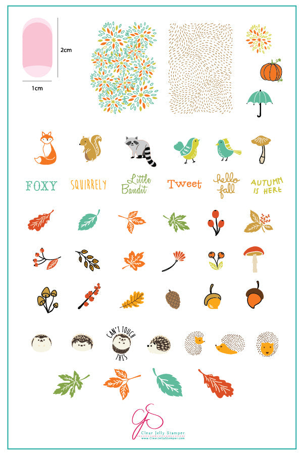 Autumn is Here! (CjS-135) Steel Nail Art Stamping Plate 14 x 9 Clear Jelly Stamper Plate