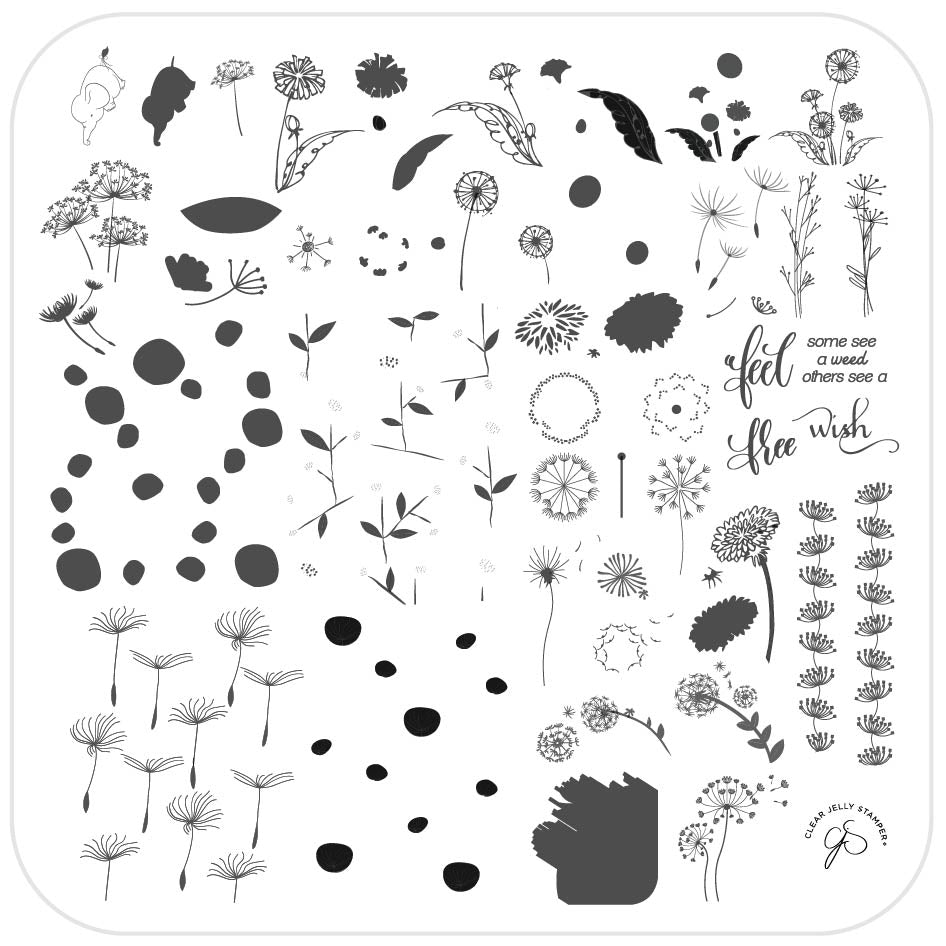 Feel Free (CjS-158) Steel Stamping Plate 8 x 8 Clear Jelly Stamper