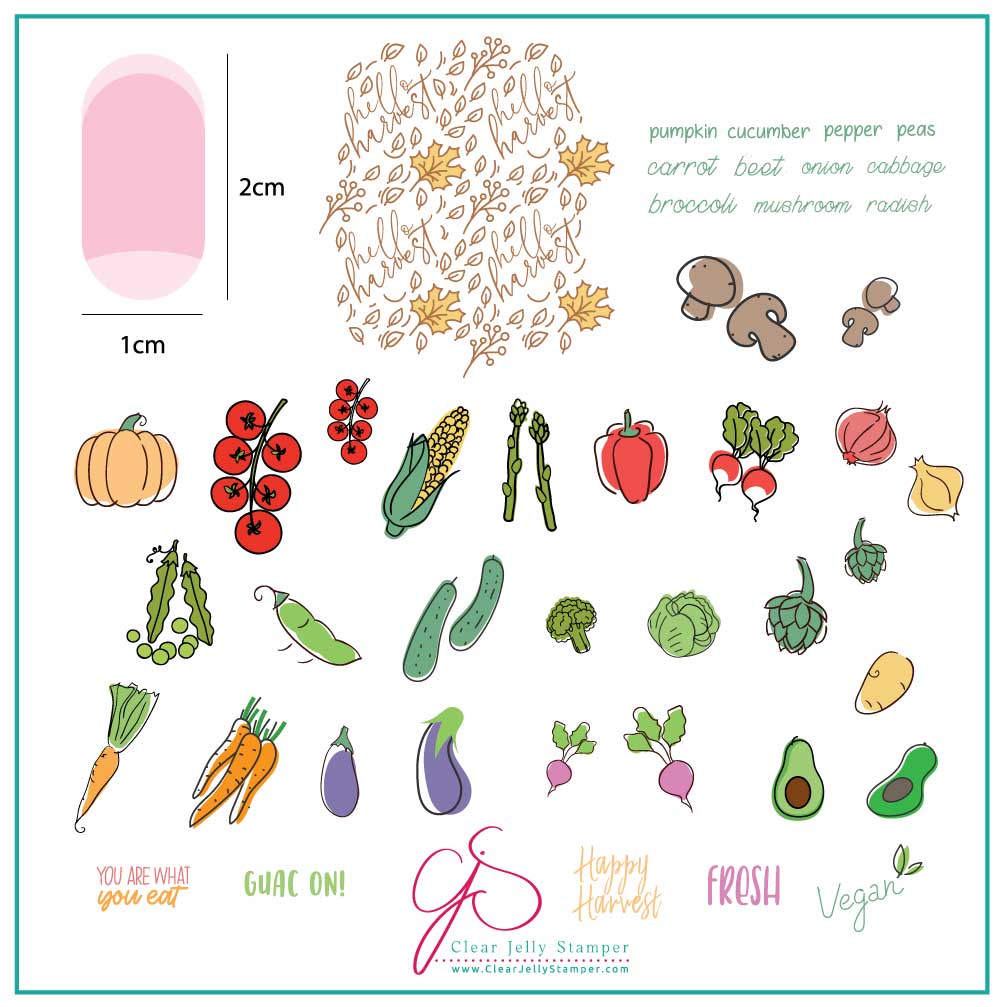 Happy Harvest (CjS-170) Steel Stamping Plate 8 x 8 Clear Jelly Stamper Plate