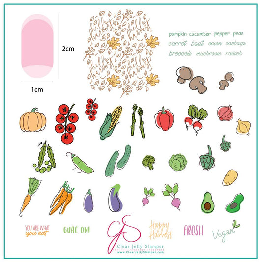 Happy Harvest (CjS-170) Steel Stamping Plate 8 x 8 Clear Jelly Stamper Plate