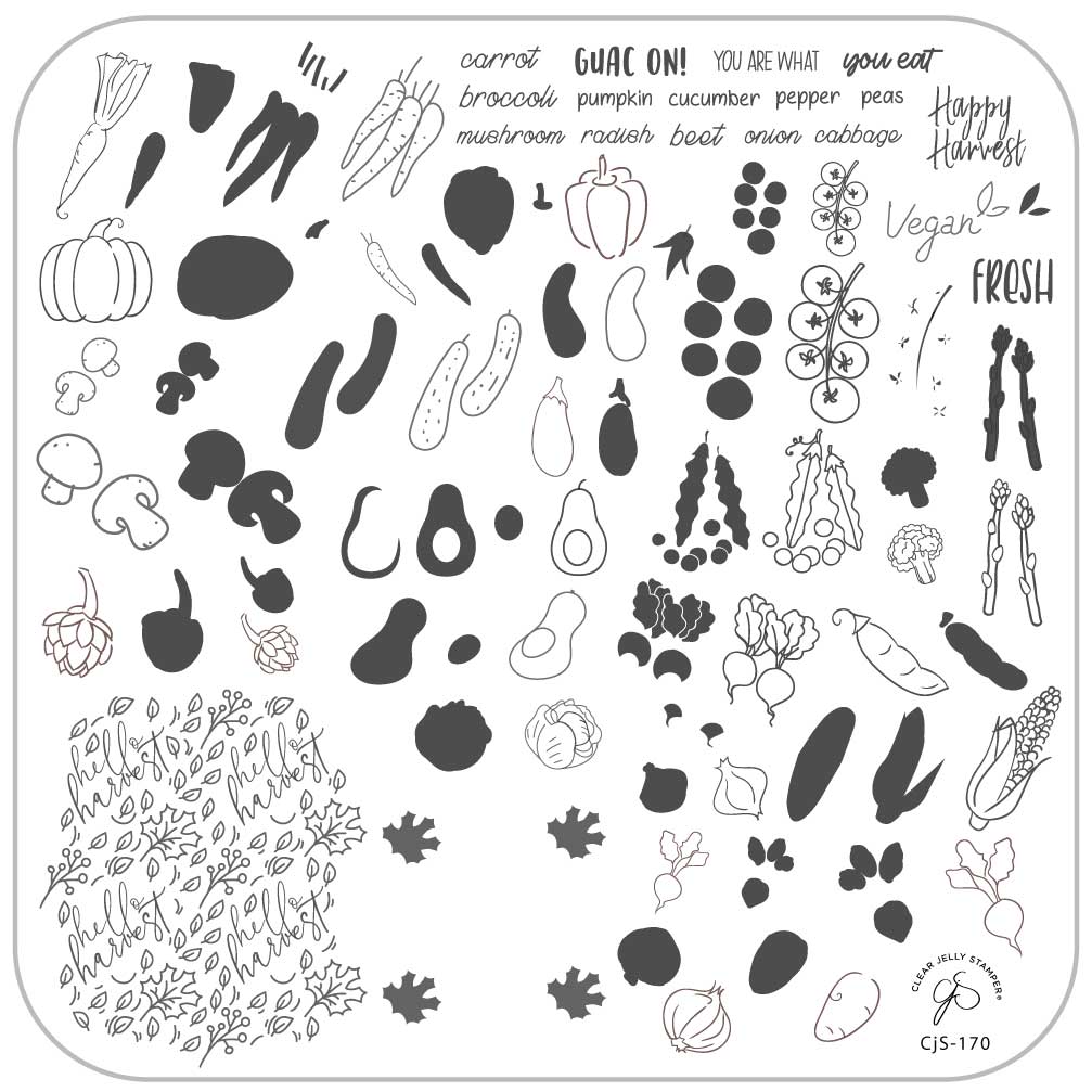 Happy Harvest (CjS-170) Steel Stamping Plate 8 x 8 Clear Jelly Stamper