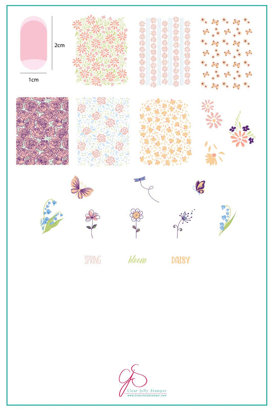 Spring Daisy (CjS-194) Steel Stamping Plate 14 x 9 Clear Jelly Stamper
