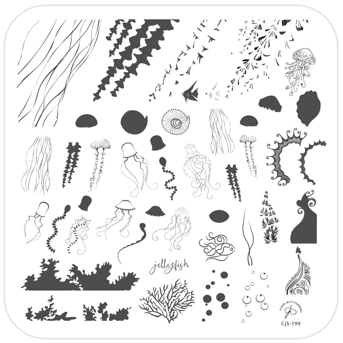 Blooming Sea (CjS-199) Steel Stamping Plate 8 x 8 Clear Jelly Stamper