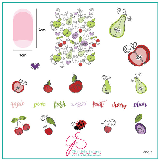 Fruit Cocktail Collection - Take Your Pick! (CjS-210) Etched Nail Art Stamping Plate