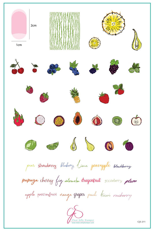 Fruit Cocktail Collection - Tropical Sensation (CjS-211) Etched Nail Art Stamping Plate