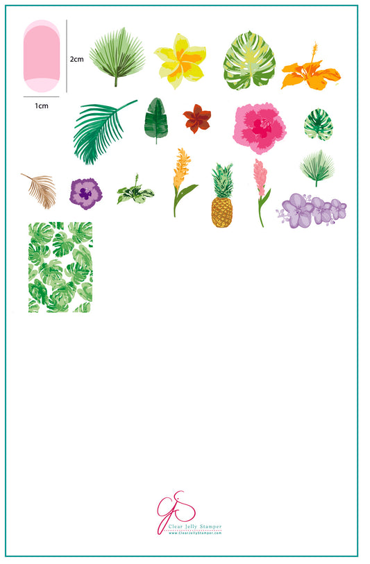 Tropical (CjS-38) - Steel Nail Art Stamping plate 14 x 9 Clear Jelly Stamper Plate