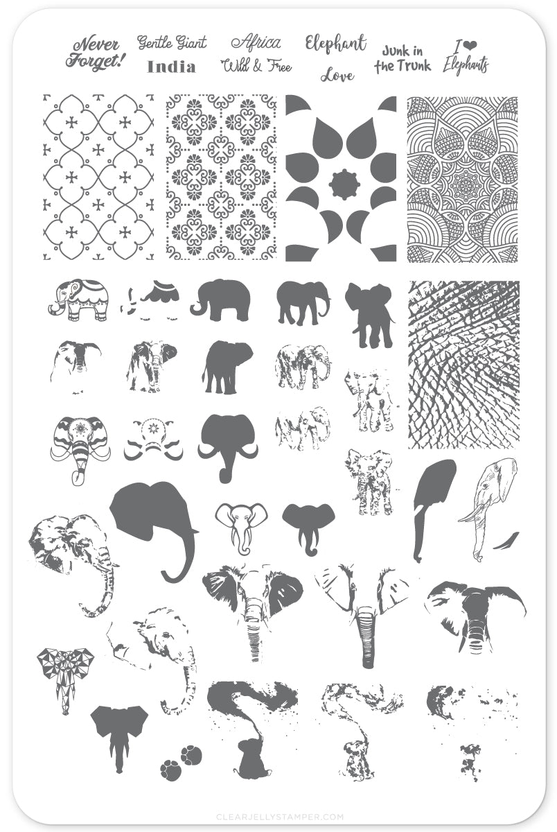 Everything Elephant (CjS LC-44) Steel Stamping Plate 14 x 9 Clear Jelly Stamper