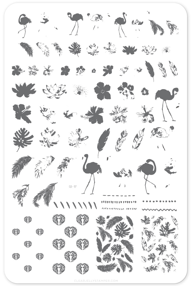 Fabulous Flamingo (CjS-57) - Steel Nail Art Stamping Plate 14 x 9 Clear Jelly Stamper
