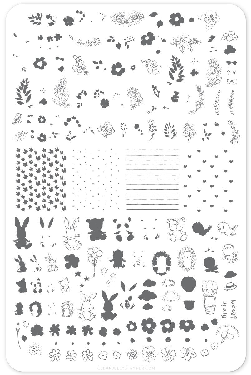 Life in Bloom (CjS-97) Steel Nail Art Stamping Plate 14 x 9 Clear Jelly Stamper