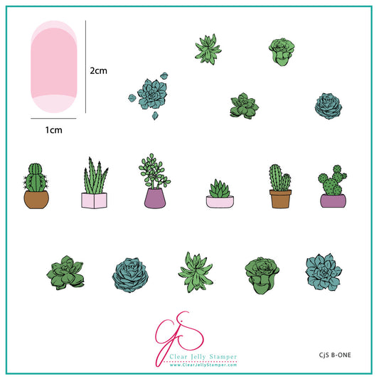 Beginner Edition (CjS-B-ONE) Etched Nail Art Stamping Plate