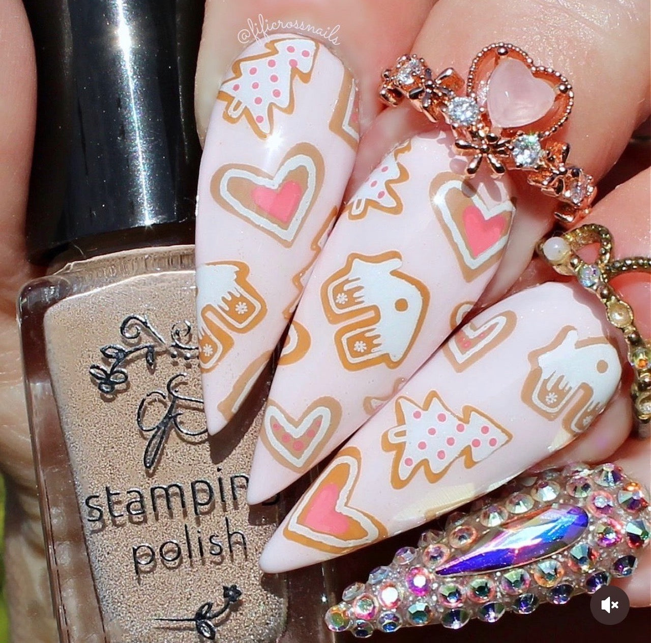 Sassy Christmas (CjSC-68) Etched Nail Art Stamping Plate