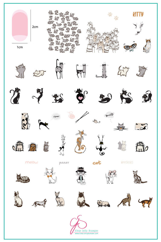 Purrr-fect! (CjSLC-75) Steel Stamping Plate 14 x 9 Clear Jelly Stamper