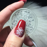 Wonderfully Winter (CjSC-05) - Steel Nail Art Stamping Plate 6x6 Clear Jelly Stamper 