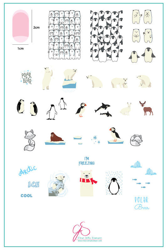Arctic Holiday (CjS C-39) Steel Nail Art Stamping Plate 14 x 9 Clear Jelly Stamper